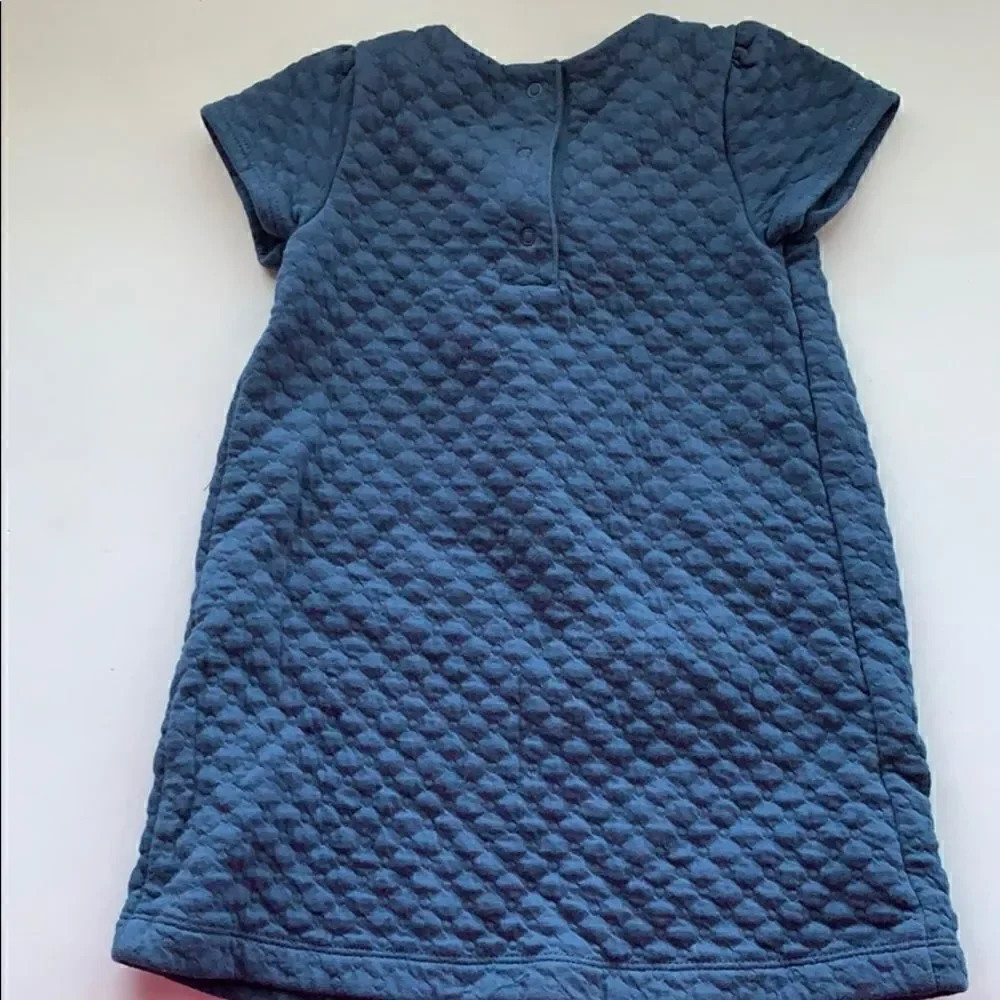 Gymboree navy blue